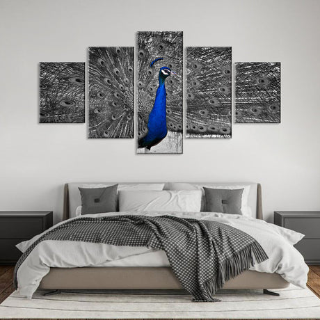 Gray Tailed Blue Peacock Canvas Wall Art