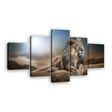 Lion King Resting On Rock - Multi-Panel Canvas Wall Art