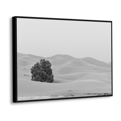 Lonely Oasis - Desert Landscape In Black & White Canvas Wall Art