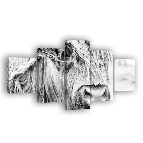 Long-Haired Scottish Highland Cow - Black And White Canvas Wall Art