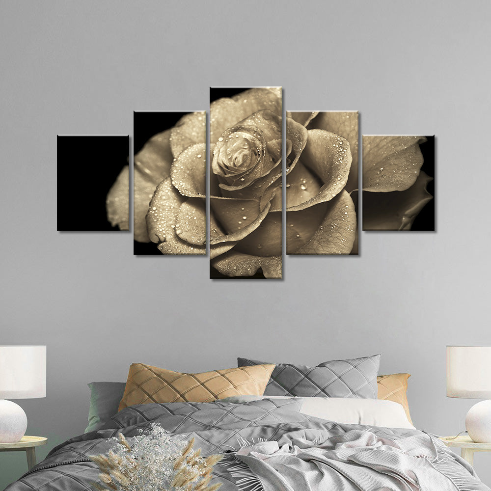 Lovely Rose with Dewdrops Canvas Wall Art