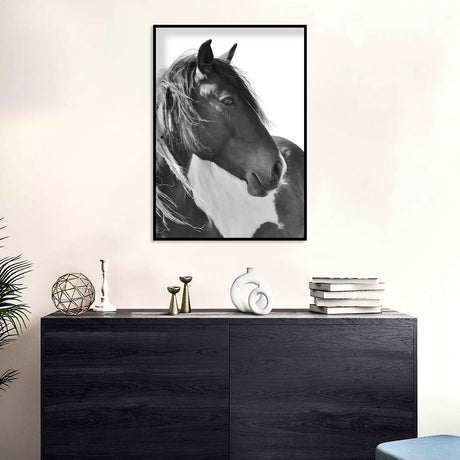 Majestic Black And White Horse Canvas Wall Art