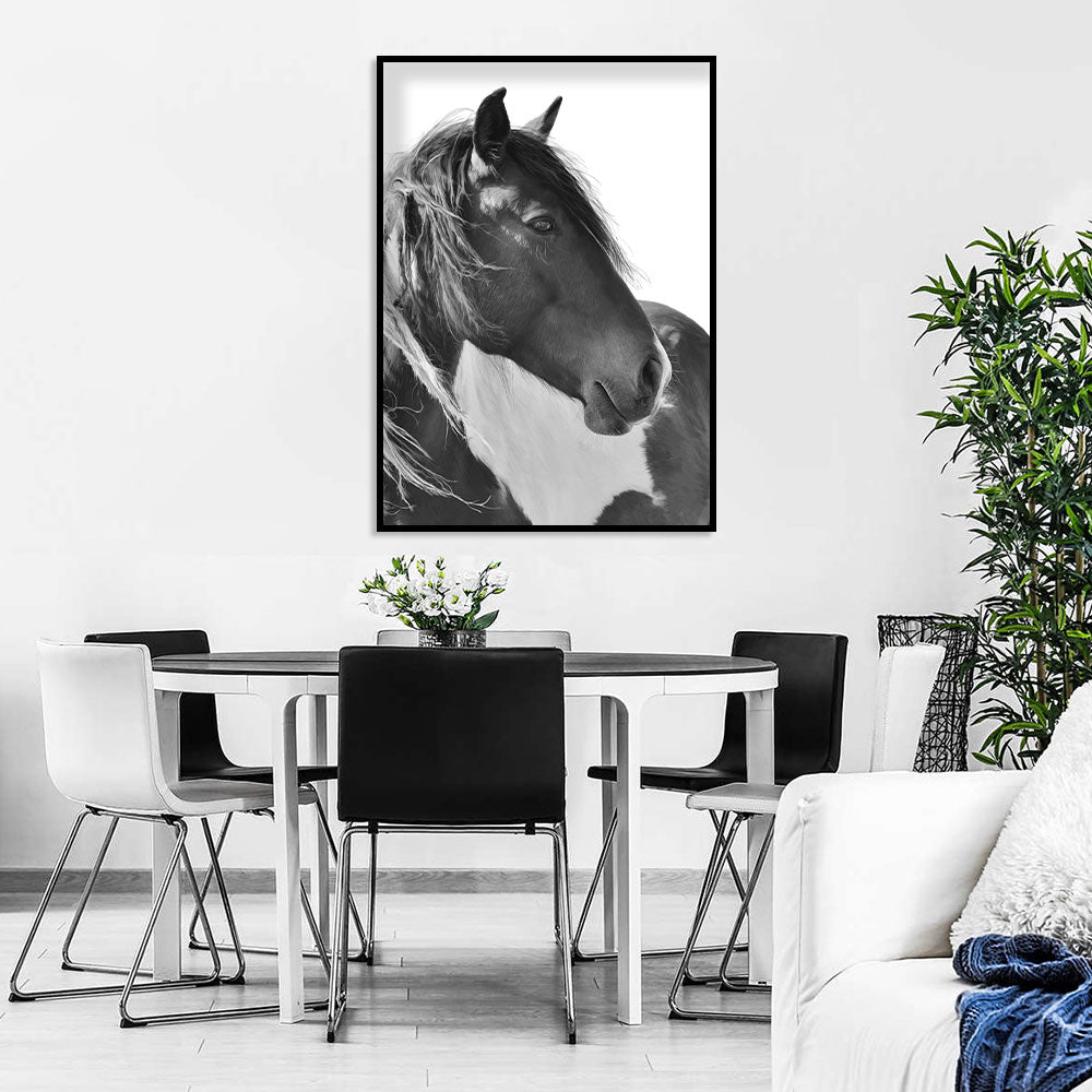 Majestic Black And White Horse Canvas Wall Art