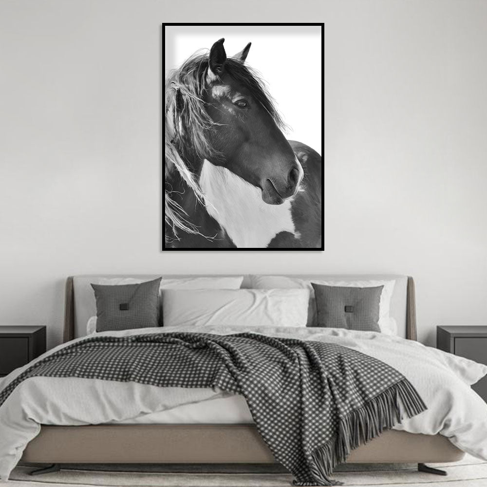 Majestic Black And White Horse Canvas Wall Art