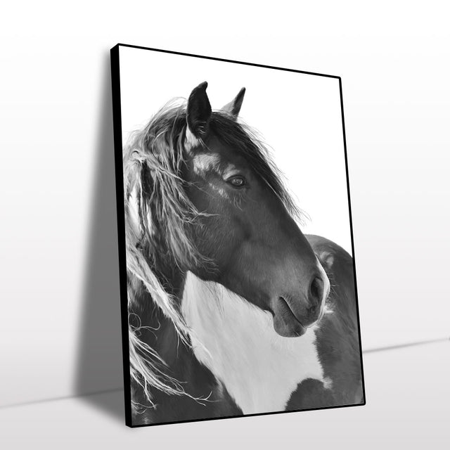 Majestic Black And White Horse Canvas Wall Art