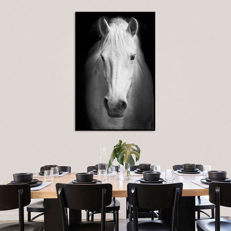 Majestic White Horse Canvas Wall Art