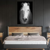 Majestic White Horse Canvas Wall Art