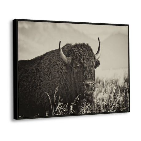 Majestic Bison Black & White – Rustic Western Decor Canvas Wall Art
