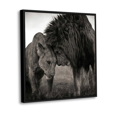 Majestic Bond Black And White Lion Canvas Wall Art