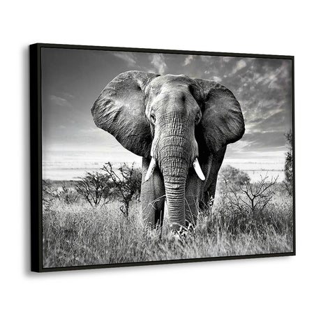 Majestic Elephant In the Wild Black & White Canvas Wall Art