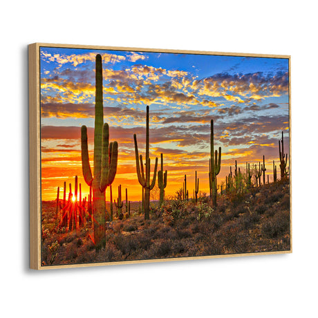 Majestic Sunset Over The Desert Cactus Canvas Wall Art