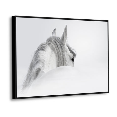 Majestic White Horse – Black And White Elegance Canvas Wall Art