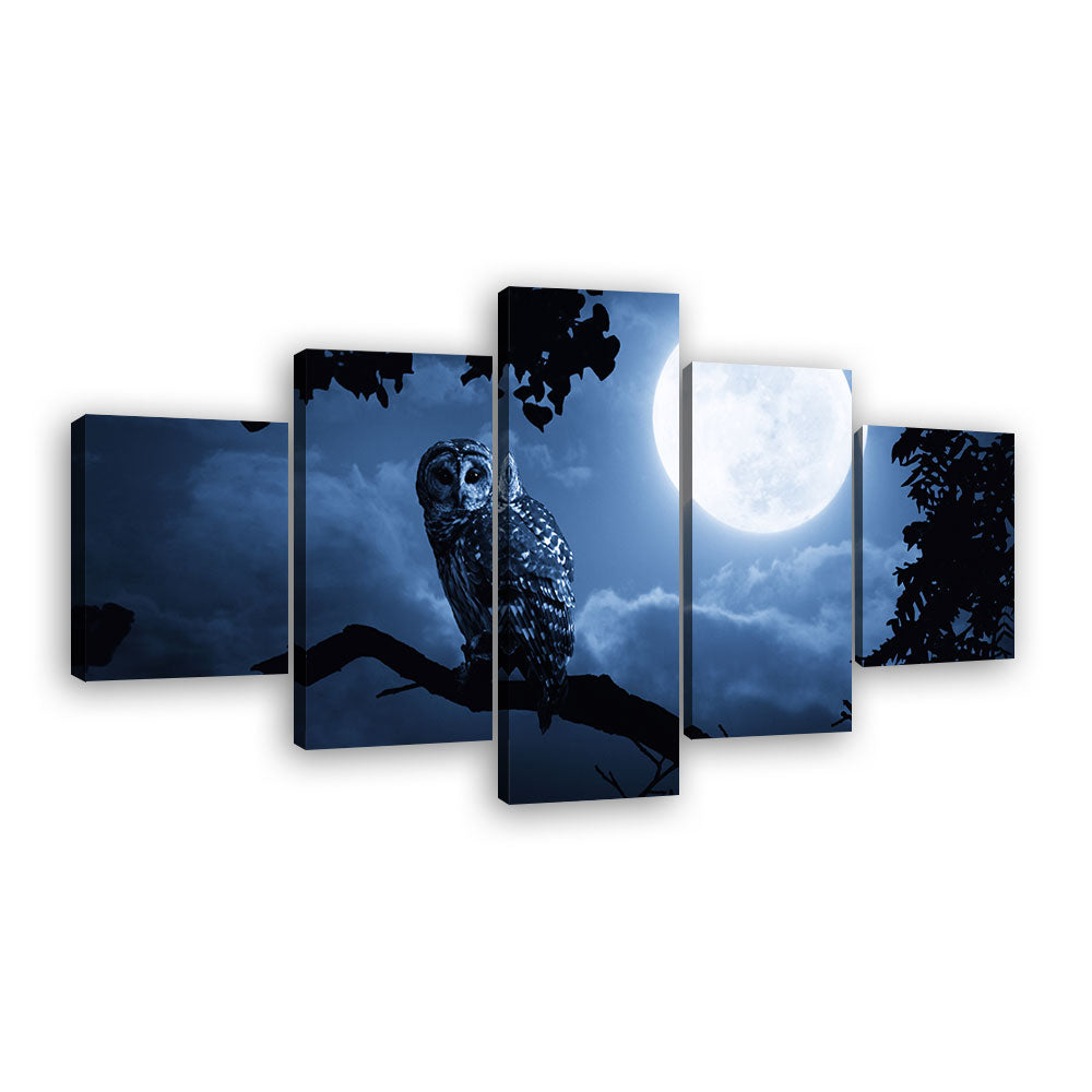 Night Owl With Moon Canvas Wall Art