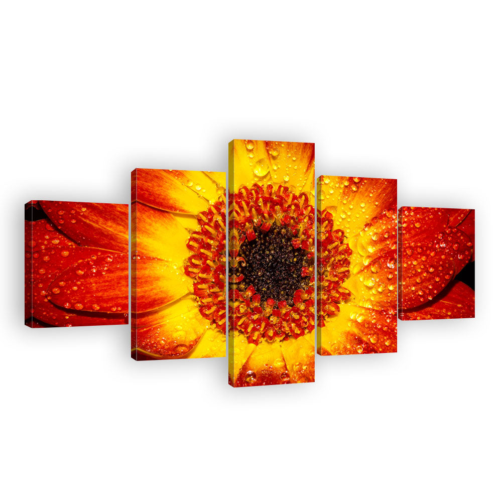 Orange Sunflower Bloom Canvas Wall Art