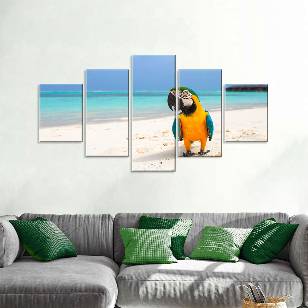 Parrot On Sand Beach Canvas Wall Art