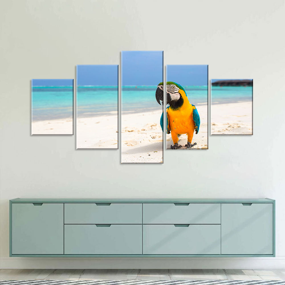 Parrot On Sand Beach Canvas Wall Art