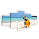 Parrot On Sand Beach Canvas Wall Art