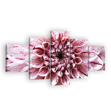 Pink Dahlia Close-Up Canvas Wall Art