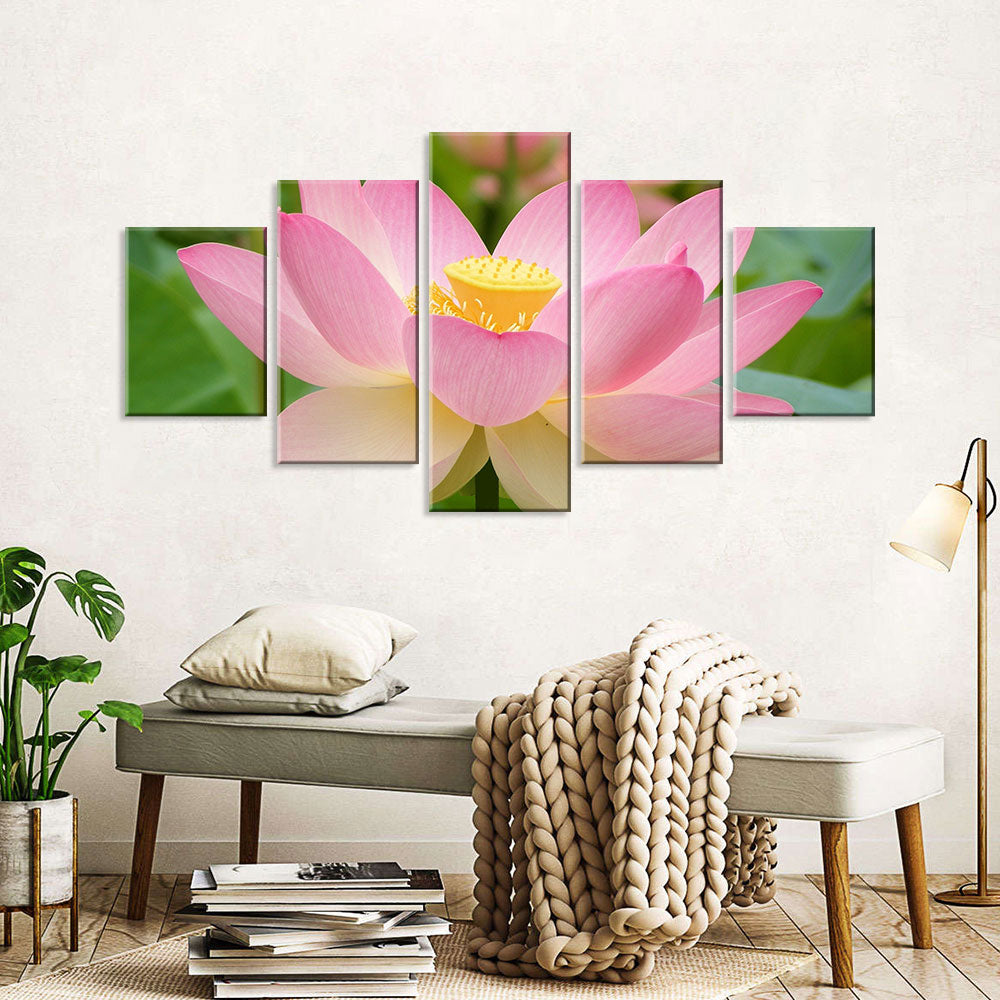 Pink Lotus Flower Canvas Wall Art