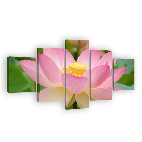 Pink Lotus Flower Canvas Wall Art