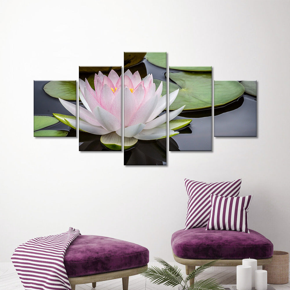 Pink Lotus Flower in Water Canvas Wall Art