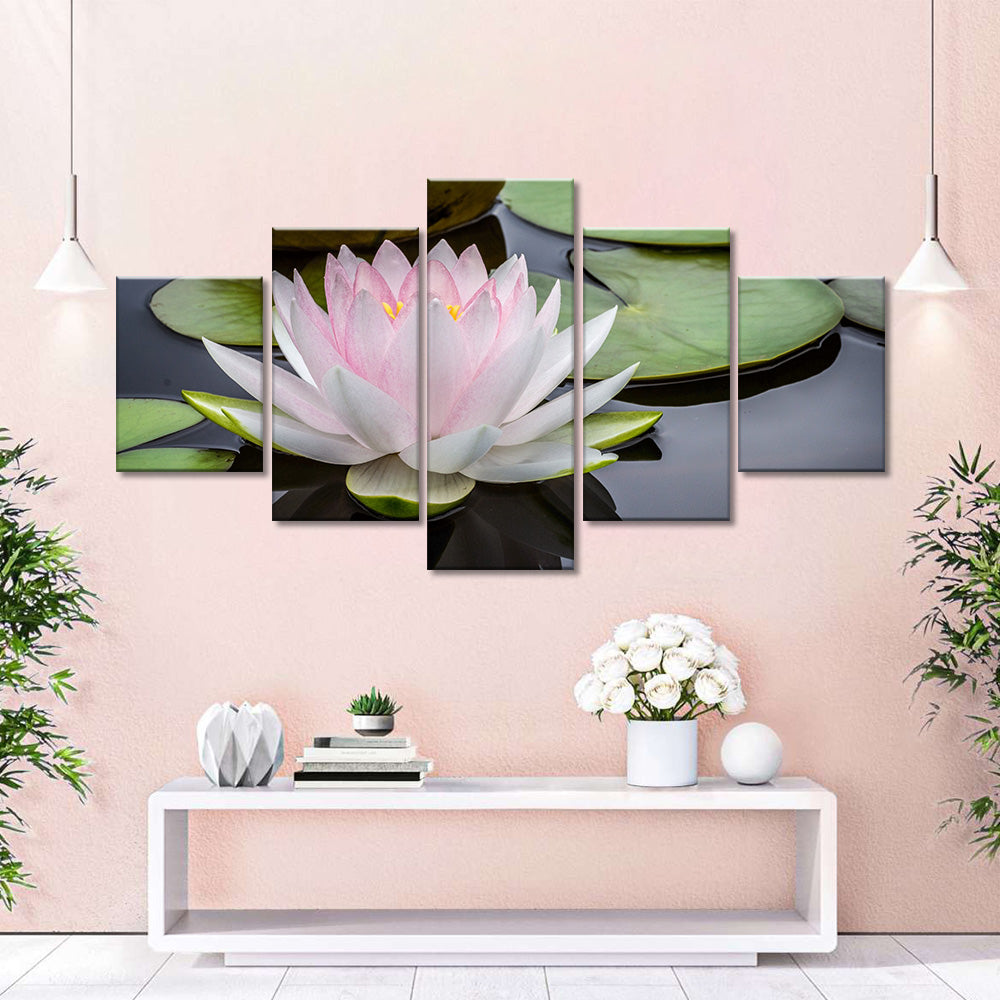 Pink Lotus Flower in Water Canvas Wall Art