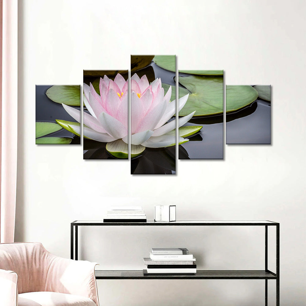 Pink Lotus Flower in Water Canvas Wall Art