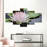 Pink Lotus Flower in Water Canvas Wall Art