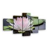 Pink Lotus Flower in Water Canvas Wall Art