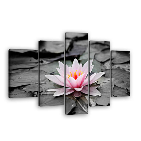 Pink Water Lily canvas wall art