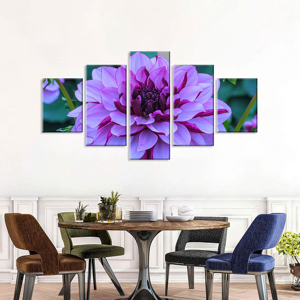 Purple Dahlia Flower Canvas Wall Art