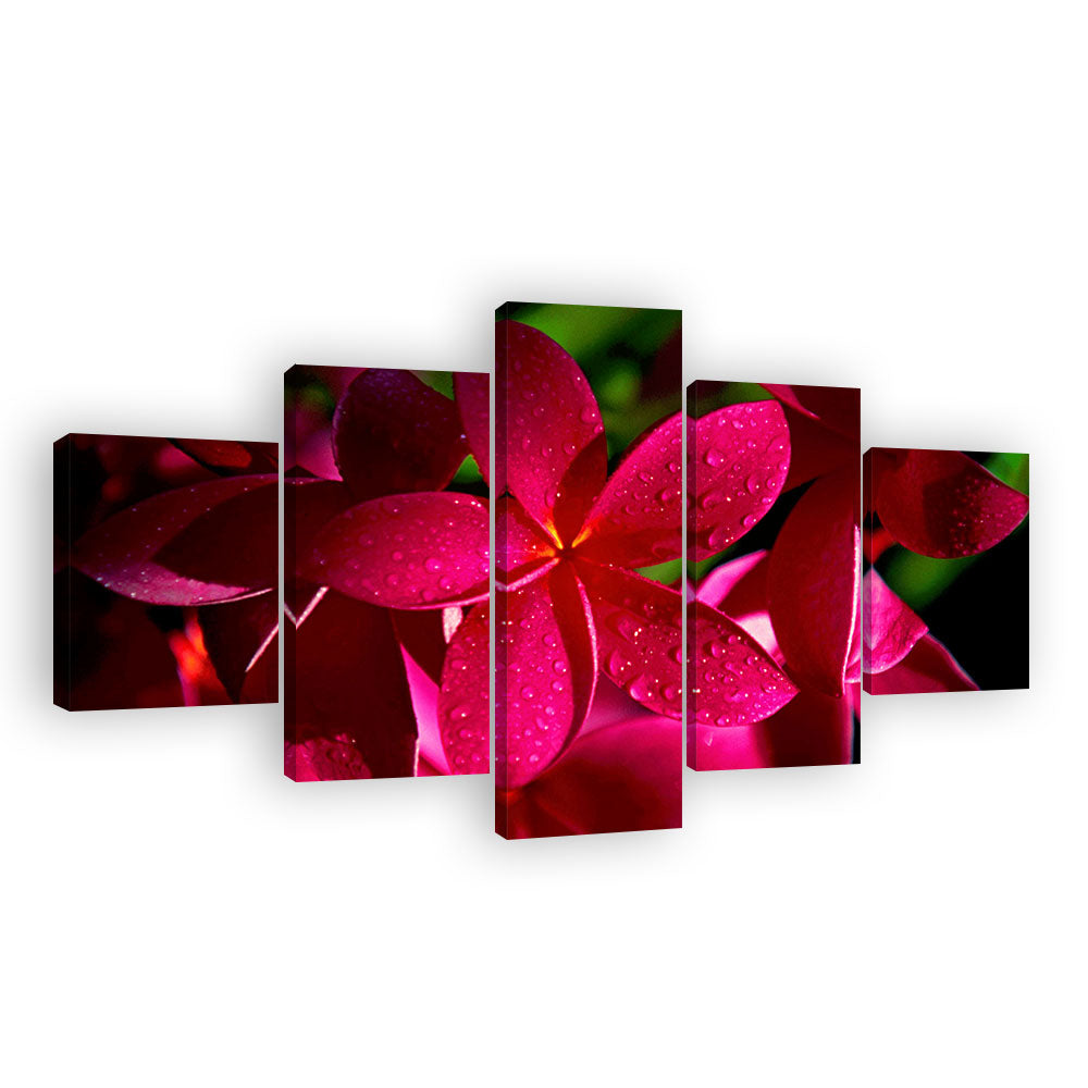 Red Plumeria Flowers Canvas Wall Art