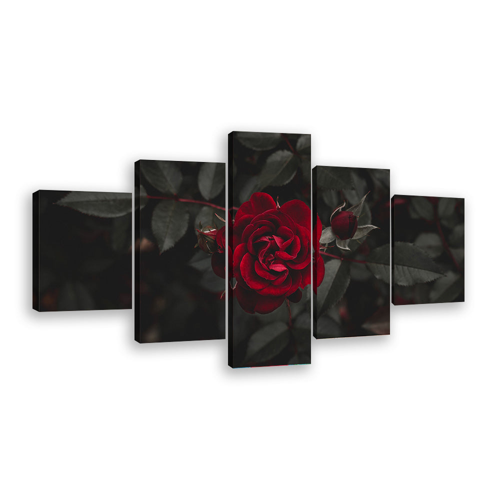 Red Rose Canvas Wall Art