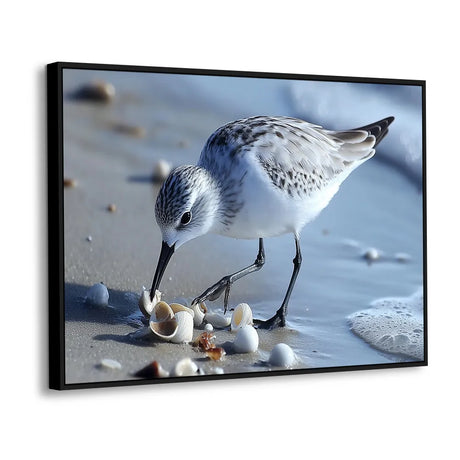 Shoreline Forager A Tranquil Bird - Canvas Wall Art