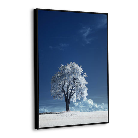 Solitary Snowy Tree In Blue Sky Canvas Wall Art