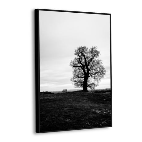 Solitary Tree On A Hill Canvas Wall Art