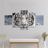 White Bengal Tiger Face Canvas Wall Art