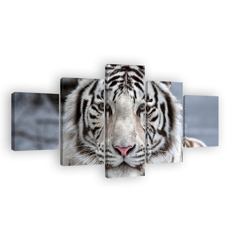 White Bengal Tiger Face Canvas Wall Art