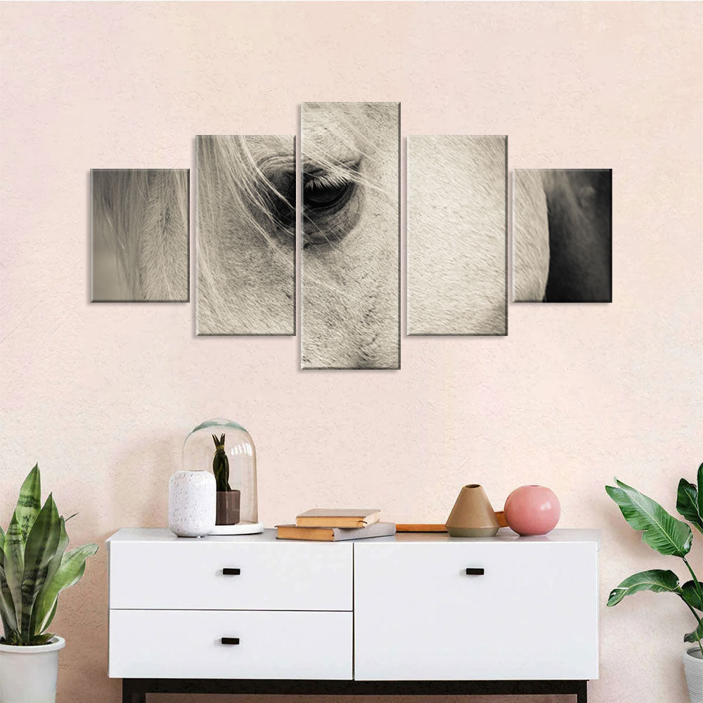 White Horse Eye Canvas Wall Art