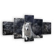 White Wolf In Dark Night Canvas Wall Art