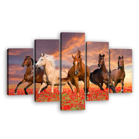 Wild Horses In Sunset Field Canvas Wall Art