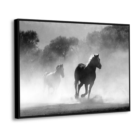 Wild Stallions  - Black And White Canvas Wall Art