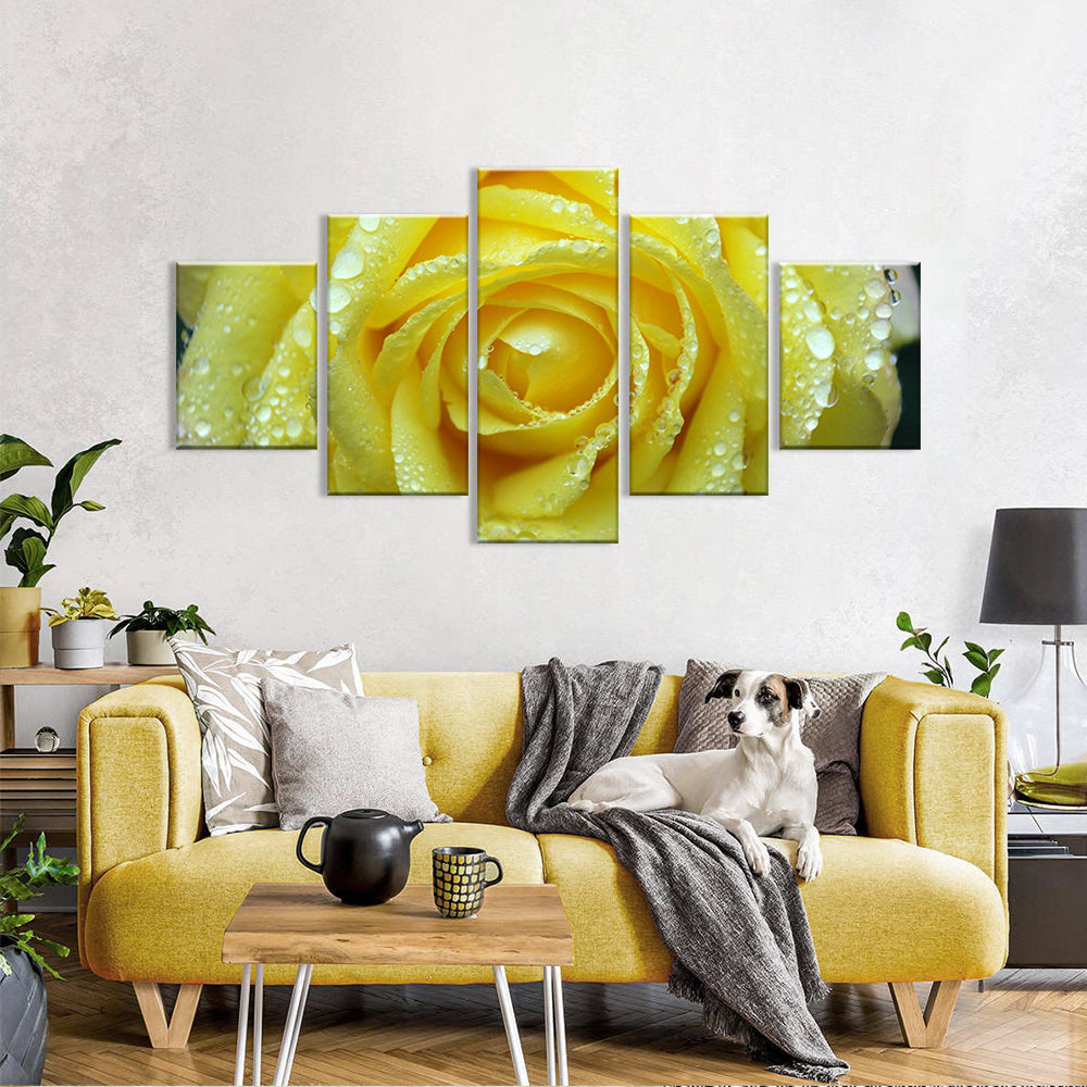 Yellow Rose with Water Drops Canvas Wall Art