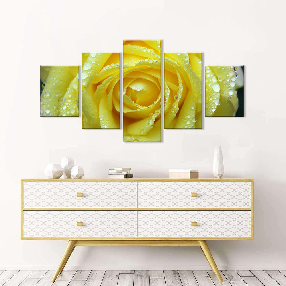 Yellow Rose with Water Drops Canvas Wall Art