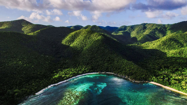 Tropical Coastal Mountain Canvas Wall Art